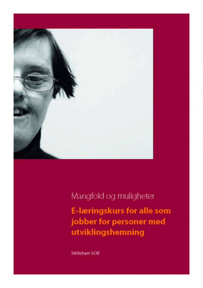 Bilde av brosjyren Mangfold og muligheter
